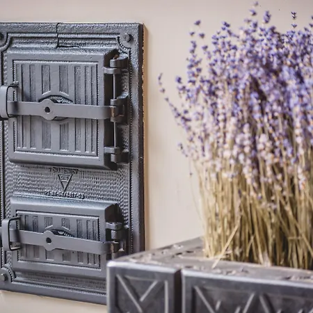 Lavender 3* كراكوفيا